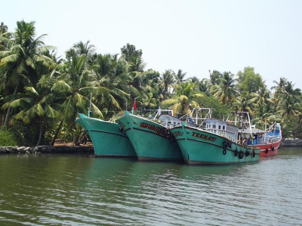 Zdjęcia: Rozlewiska Kerali, Kerala, W drodze do Kochin, INDIE Zdjęcia: Rozlewiska Kerali, Kerala, W drodze do Kochin, INDIE