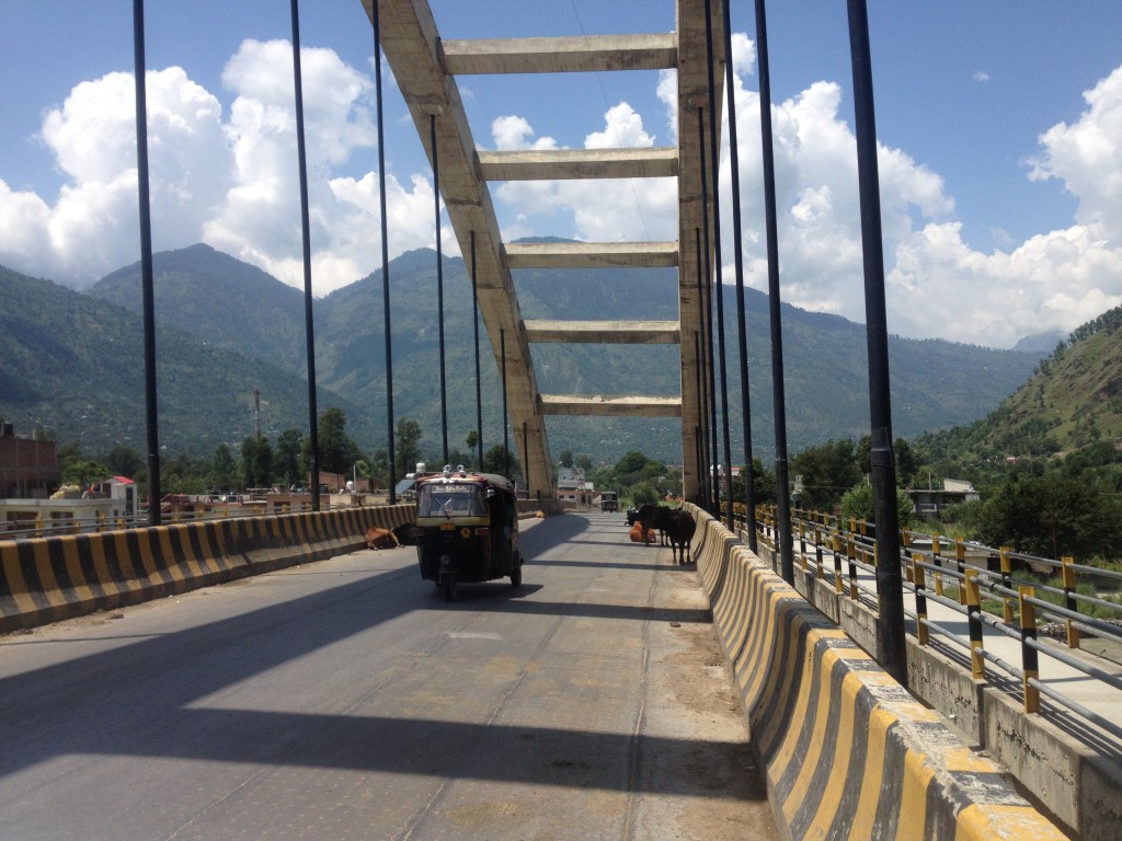 Zdjęcia: Shimla, Himalaje, Krowy w Indiach, INDIE Zdjęcia: Shimla, Himalaje, Krowy w Indiach, INDIE