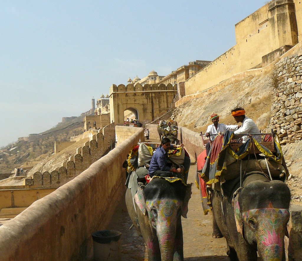 Zdjęcia: Jaipur, Rajasthan, Droga słonia, INDIE Zdjęcia: Jaipur, Rajasthan, Droga słonia, INDIE