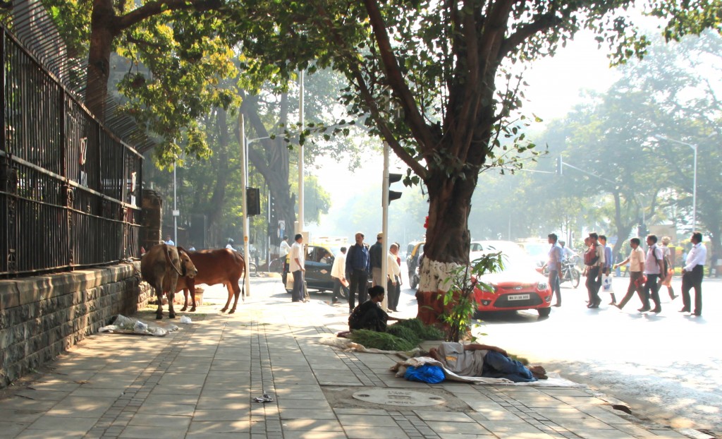 Zdjęcia: Bombaj, Maharasztra, Bombaj, INDIE Zdjęcia: Bombaj, Maharasztra, Bombaj, INDIE