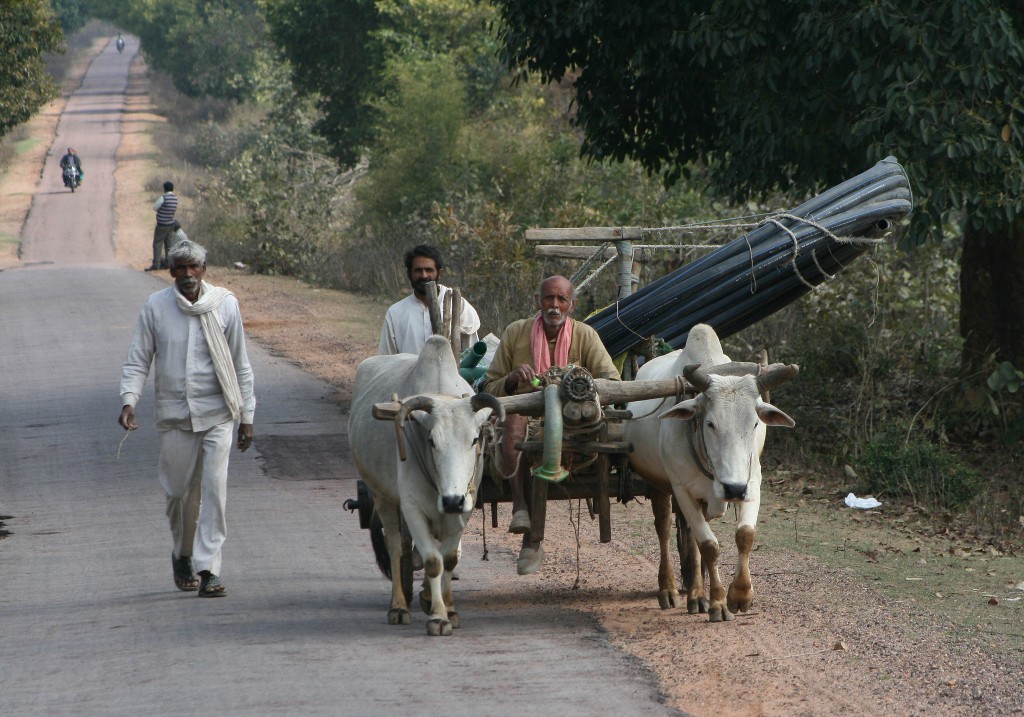 Zdjęcia: Khajuraho, Madhya Pradesh, Droga do przyszłości, INDIE Zdjęcia: Khajuraho, Madhya Pradesh, Droga do przyszłości, INDIE