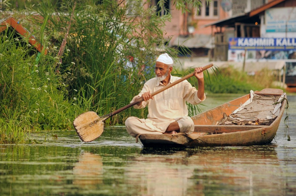 Zdjęcia: Srinagar, Na jeziorze Dal, INDIE Zdjęcia: Srinagar, Na jeziorze Dal, INDIE