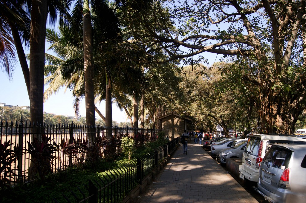 Zdjęcia: street , Maharaszta, Mumbaj, INDIE Zdjęcia: street , Maharaszta, Mumbaj, INDIE