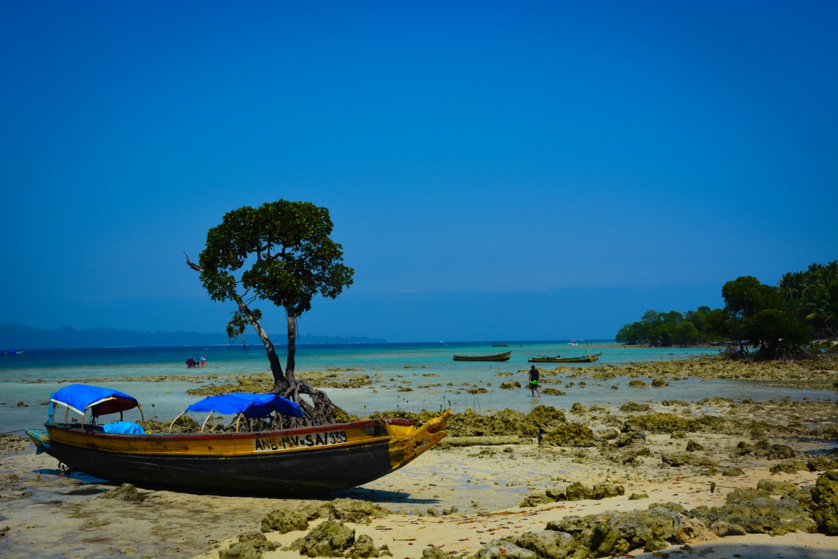 Zdjęcia: Havelock Island, Andamany, Raj za dnia.., INDIE Zdjęcia: Havelock Island, Andamany, Raj za dnia.., INDIE