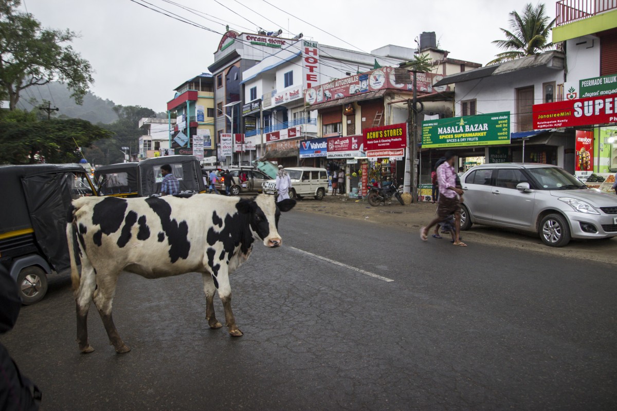 Zdjęcia: Kerala, typowa indyjska ulica ;), INDIE Zdjęcia: Kerala, typowa indyjska ulica ;), INDIE