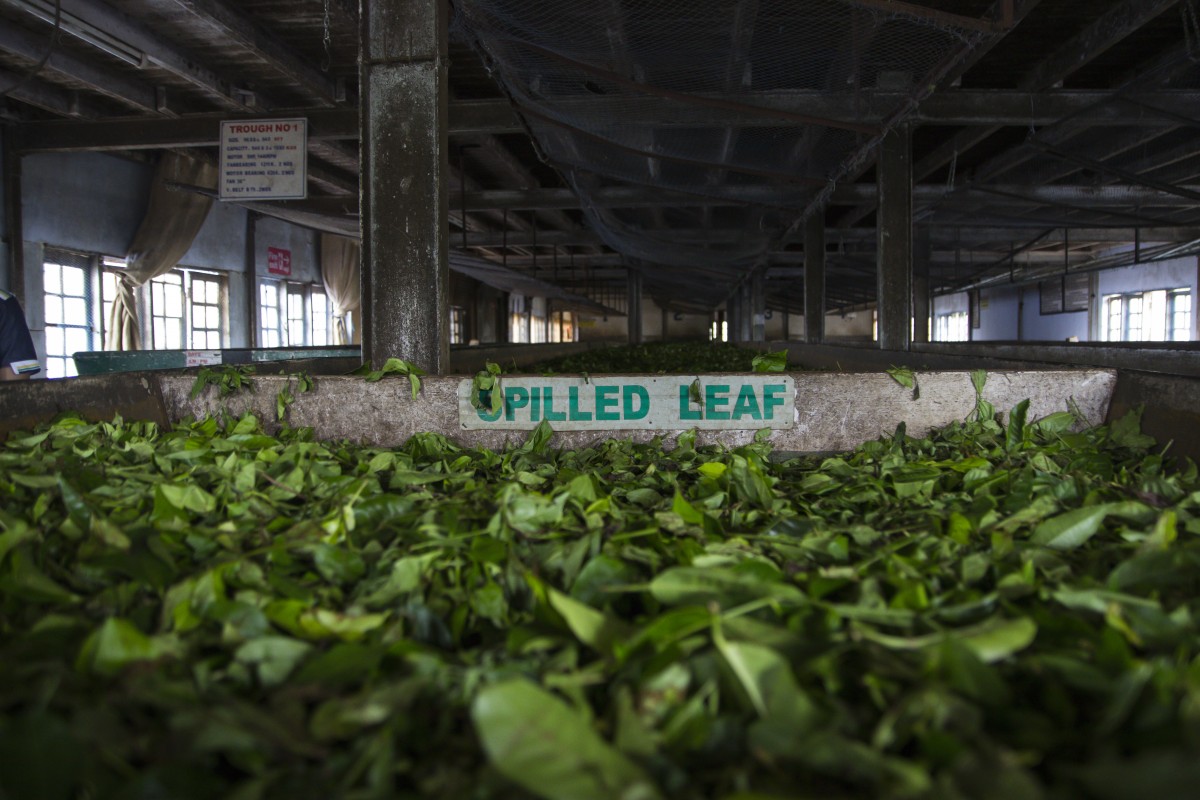 Zdjęcia: Munnar, Kerala, najstarsza fabryka herbaty, INDIE Zdjęcia: Munnar, Kerala, najstarsza fabryka herbaty, INDIE