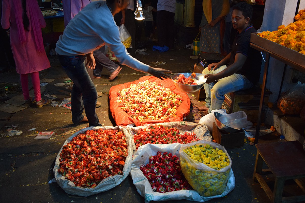 Zdjęcia: Mysore, Karnataka, Mysore 4, INDIE Zdjęcia: Mysore, Karnataka, Mysore 4, INDIE