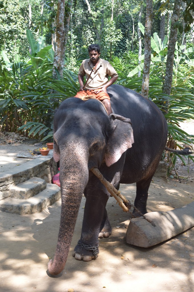 Zdjęcia: Kumily, Kerala, Kumily 2, INDIE Zdjęcia: Kumily, Kerala, Kumily 2, INDIE
