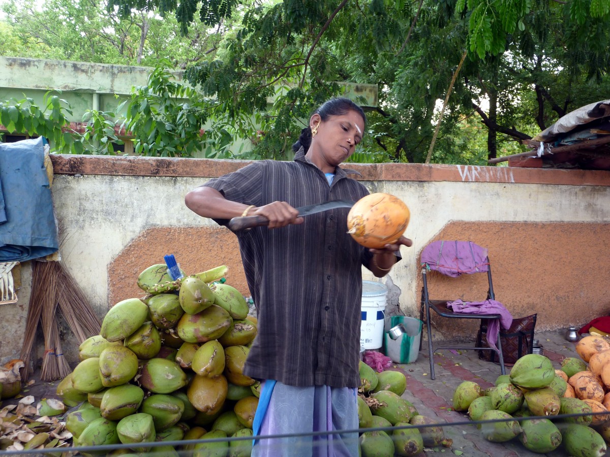 Zdjęcia: Madurai, Tamil Nadu, kobieta sprzedająca kokosy, INDIE Zdjęcia: Madurai, Tamil Nadu, kobieta sprzedająca kokosy, INDIE