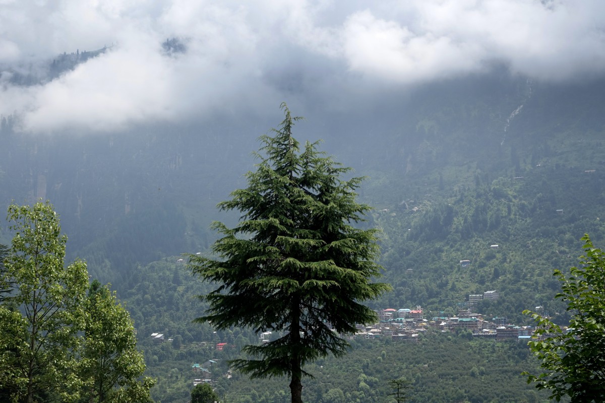 Zdjęcia: Manali, Manali, Dobrze mu, INDIE Zdjęcia: Manali, Manali, Dobrze mu, INDIE
