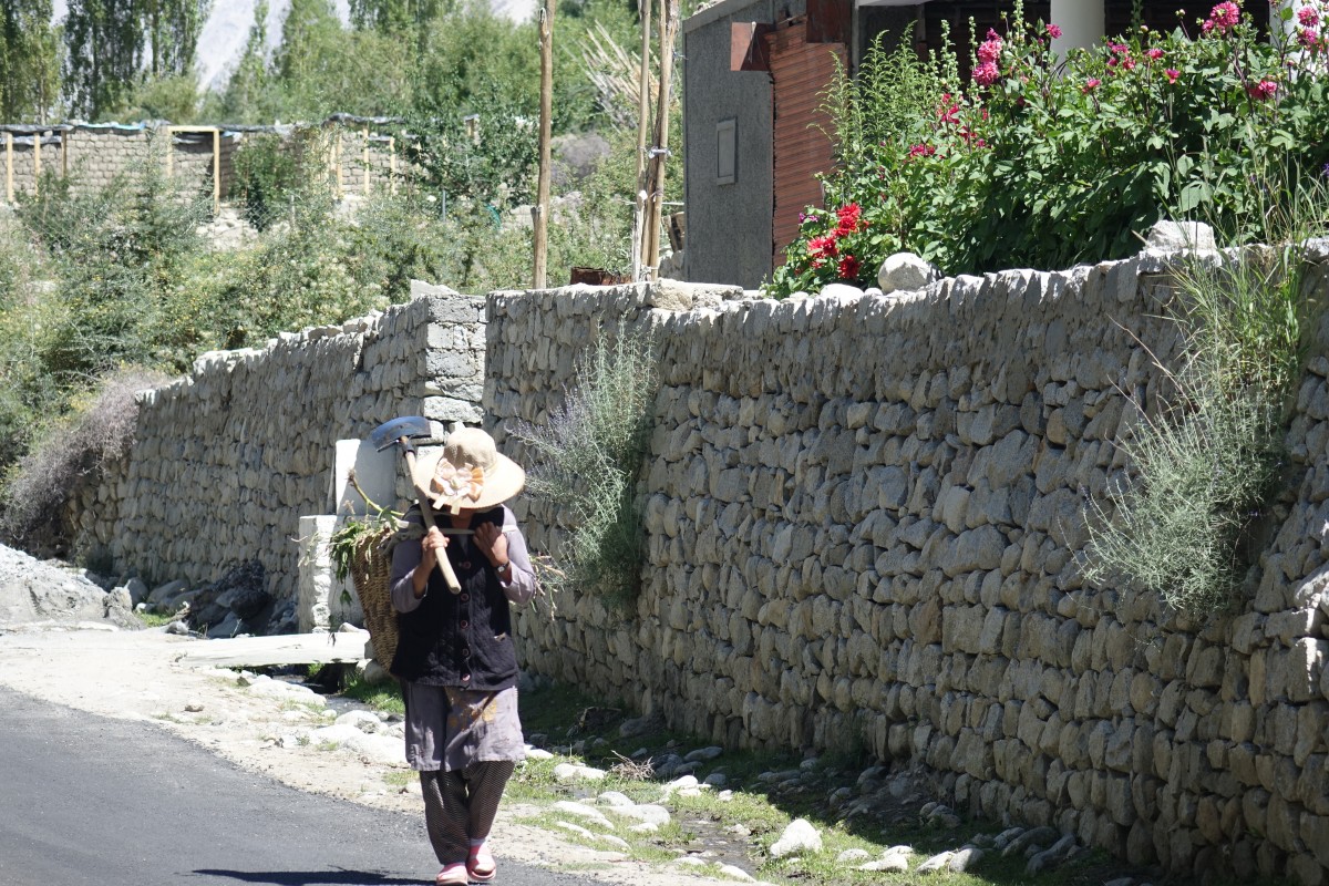 Zdjęcia: Dolina   Nubry, Dolina   Nubry, Transport, INDIE Zdjęcia: Dolina   Nubry, Dolina   Nubry, Transport, INDIE