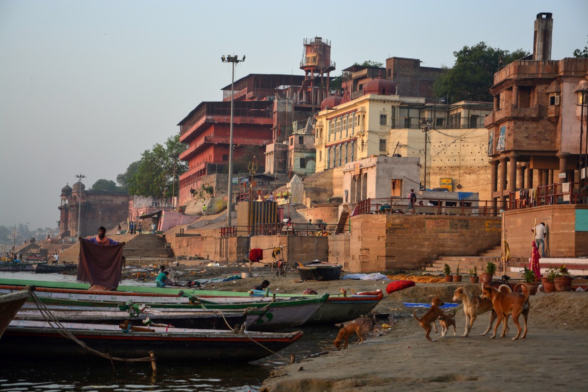 Zdjęcia: Varanasi, Varanasi, INDIE Zdjęcia: Varanasi, Varanasi, INDIE