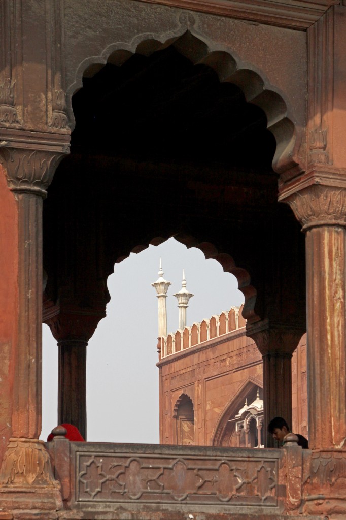 Zdjęcia: Delhi, Haryana, Delhi 13, INDIE Zdjęcia: Delhi, Haryana, Delhi 13, INDIE