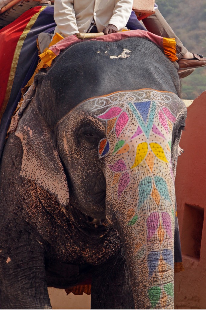 Zdjęcia: Jaipur, Radzasthan, Wesoła Taksówka, INDIE Zdjęcia: Jaipur, Radzasthan, Wesoła Taksówka, INDIE