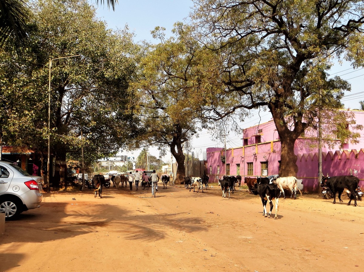Zdjęcia: Hospet, Koło Hampi, Droga w Hospet, INDIE Zdjęcia: Hospet, Koło Hampi, Droga w Hospet, INDIE