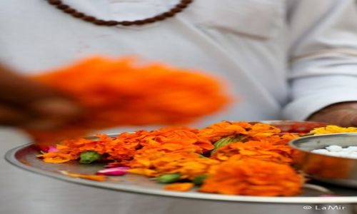 Zdjecie INDIE / Uttarakhand / Rishikesh / blogoslawienstwo