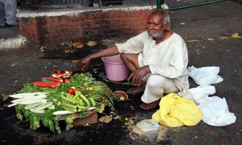 Zdjecie INDIE / brak / Okolice Varanasi / Warzywniak inaczej ...