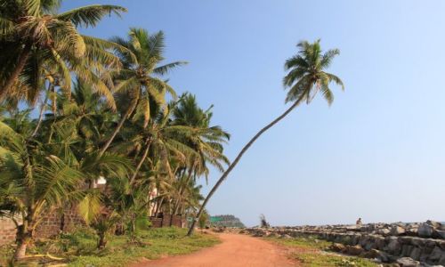Zdjecie INDIE / Kerala / Verkala / Pochy