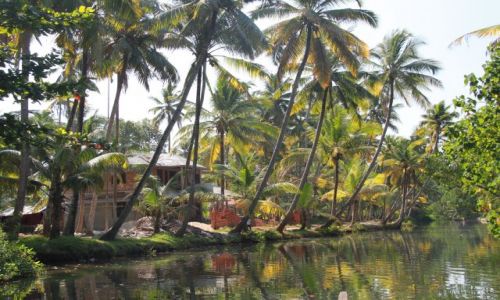Zdjcie INDIE / Kerala / Kumarakum / widoczek z kanau