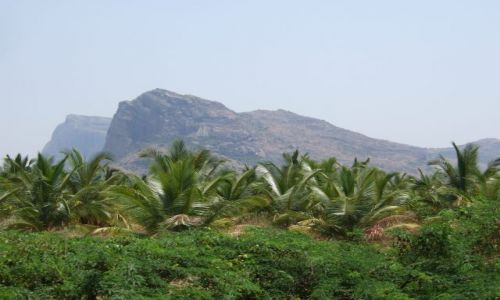 Zdjęcie INDIE / Kerala / Droga do Munnar / Po drodze były male górki