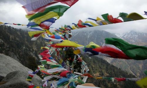 Zdjęcie INDIE / Himachal Prades / McLeod Ganj / Chorągiewki modlitewne w Himalajach