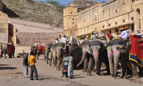 Zdjecie INDIE / Rajasthan / Jaipur / Czekajac na turystow