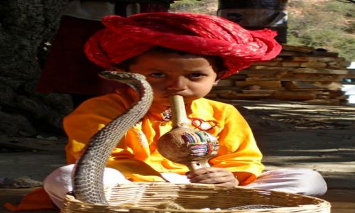 Zdjęcie INDIE / Rajasthan / Samode / KONKURS