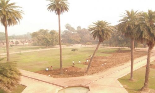 Zdjecie INDIE / DELHI / DELHI / PRACA