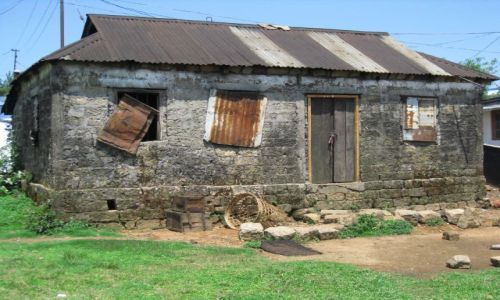 Zdjecie INDIE / Meghalaya / Cherrapuji / Martwa natura