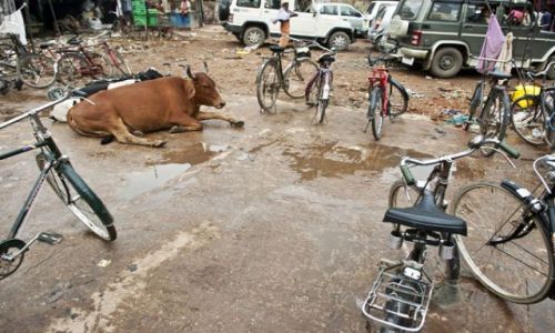 Zdjecie INDIE / Uttar Pradesh / Waranassi / ***