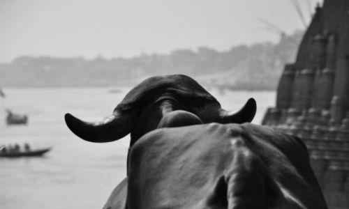 Zdjcie INDIE / Nad Gangesem / Varanasi / Ganges oczami ...