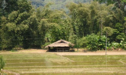 Zdjecie INDIE / Arunachal Pradesh / Aalo / Wrd pl ryowych