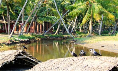 Zdjcie INDIE / Kerala / Verkala / plaa