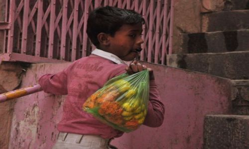 Zdjecie INDIE / - / Varanasi / Kolory
