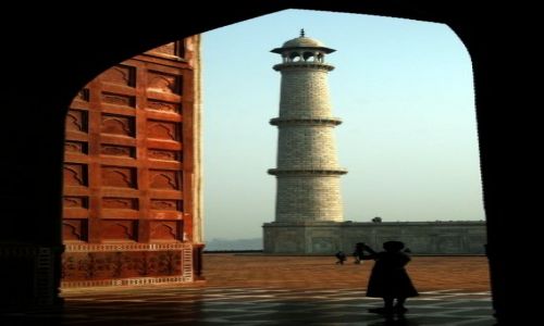 Zdjecie INDIE / Uttar Pradesh / Agra / owca detali