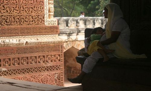 Zdjcie INDIE / Delhi / Qutab Minar / w zaciszu  ruin
