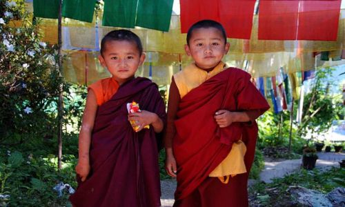Zdjęcie INDIE / Sikkim / Klasztor Enchey Gompa w Gantoku / Mali mnisi