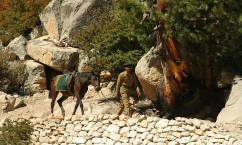 Zdjcie INDIE / UTTARANCHAL / GANGOTRI / OCHRONA 