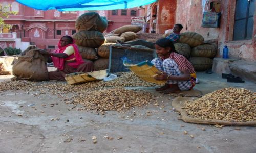 Zdjecie INDIE / RAJASTHAN / JAIPUR / RODZINNY INTERES