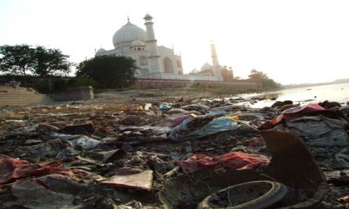 Zdjecie INDIE / Agra / Taj Mahal / Taj Mahal