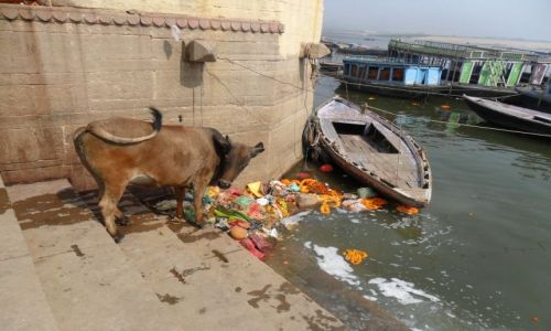 INDIE / Uttar Pradesh / Waranasi / Mmmm, pysznoci