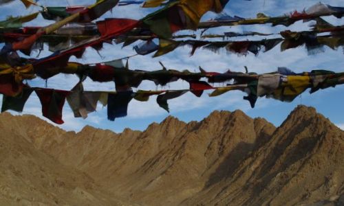 Zdjecie INDIE / Ladakh / Leh / flagi modlitewne