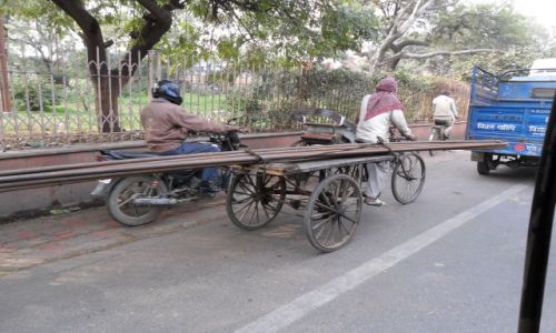 INDIE / Uttar Pradesh / Agra / Profesjonalny przewz duycy