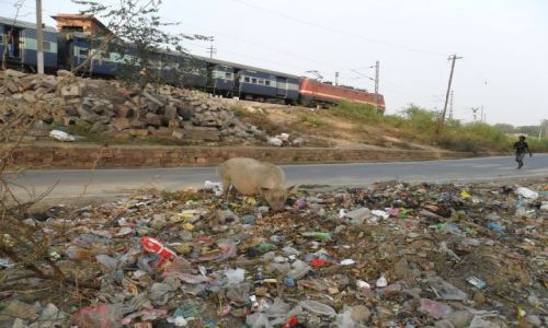 Zdjecie INDIE / Uttar Pradesh / Agra / Scenka rodzajowa
