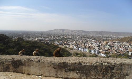 INDIE / Radastan / Jaipur / Stranicy Jaipuru