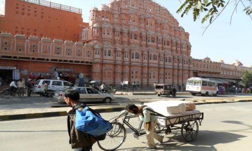 Zdjecie INDIE / Radastan / Jaipur / Ciko