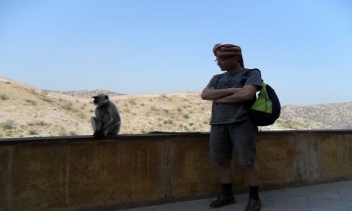 Zdjecie INDIE / Radastan / Jaipur / Oko maharady malpiszona tuczy