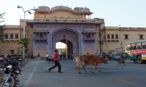 Zdjęcie INDIE / Radzastan / Jajpur / Indie