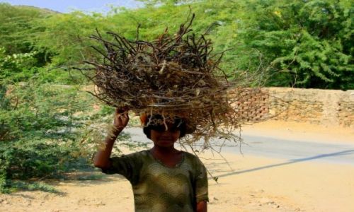 Zdjęcie INDIE / Twarze  Indi / Twarze  Indi / Twarze  Indi