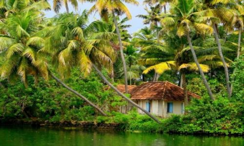 Zdjecie INDIE / Goa / Goa / Goa